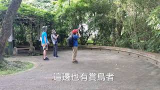 早晨植物園的穗花棋盤腳~