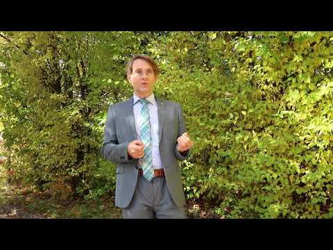 Angststörungen - Prof. Dr. Thomas Kraus über Ängste