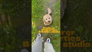 How to use explorer and properties in Roblox studio? #geometrydash #roblox#robloxstudio #growagarden