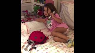 Let’s go to school!