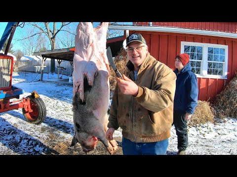Slaughtering a Pig on the Farm