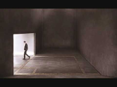 Un Ane Plane - Alain Bashung