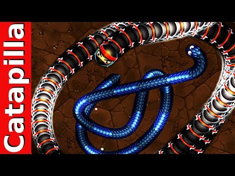Littlebigsnake.io Immortal Ninja Snake vs Fastest Big Snakes Littlebigsnakeio Gameplay