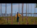 Kelvine Scapla - Ishi Nami [official music video]