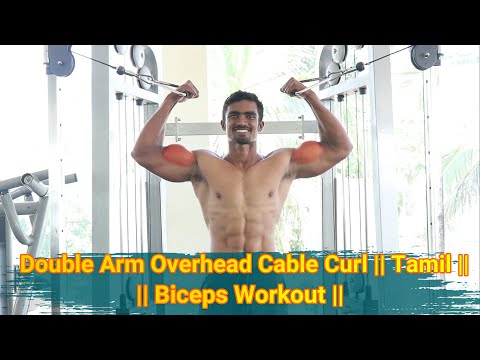 Double Arm Overhead Cable Curl || Tamil || Biceps Workout ||