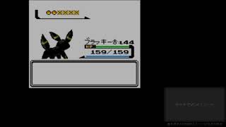 無言配信　ポケモン銀　戦闘中道具なし＃９
