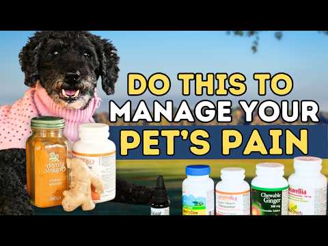 Stop Your Dog’s Pain Naturally: 5 Herbal Pain Relievers That Work!