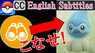 雨ポワルンの色違い出るのでまとめる！けど実質フィールドリサーチこなすイベントになる予感