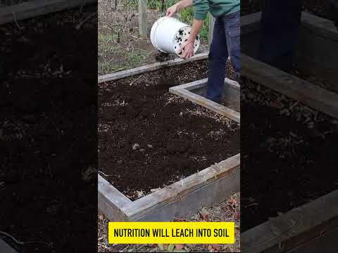 Raised Beds Winter and Spring Prep!