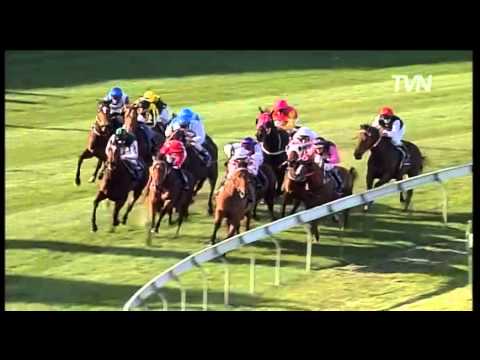 Miss Andretti - Manikato Stakes - Moonee Valley 2006