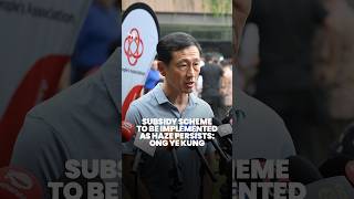 Subsidy schemes to be implemented as haze persists in Singapore: Ong Ye Kung