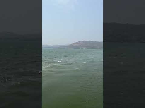 #arebiansea #ferryboat #youtubeshorts #travel #kokan