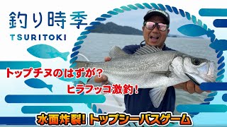 【釣り時季】“水面炸裂!トップシーバスゲーム”