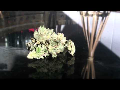 Los Angeles KUSH - LA Bud Smoke
