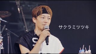 SPYAIR 『サクラミツツキ(벚꽃만월)』 Acoustic ver / 한글자막