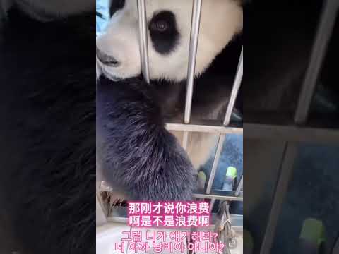 진후가 똑땅해🤣🤣