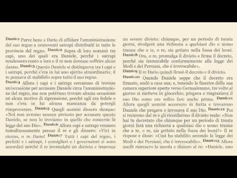 2015-01-18 Domenica Sera - Fr. Gemelli - Fr. Ausino - Daniele Cap. 6