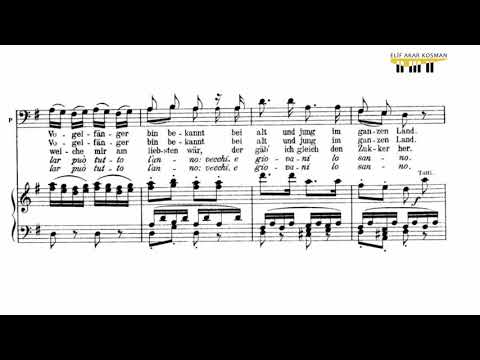 W. A. Mozart, Die zauberflöte, Der Vogelfanger bin ich ja, accompaniment