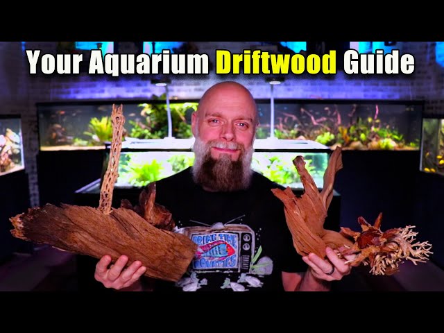 Vídeo relacionado con Emours Aquarium Driftwood Tropical Fish Plant Habitat Decor Varies Size, Small & Large,2 pcs Pack by Emours Pet