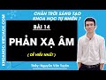 Khoa học tự nhiên Lớp 7 Bài 14: Phản xạ âm - Trang 74, 77 - Chân trời sáng tạo