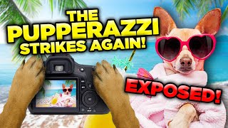 World's Hottest Puppy Influencers Exposed!