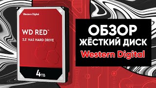 WD Red Plus 3 TB (WD30EFZX) - відео 1