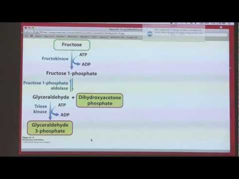 Kevin Ahern's BB 450/550 Classroom #1 for July 12 - Glycolysis II