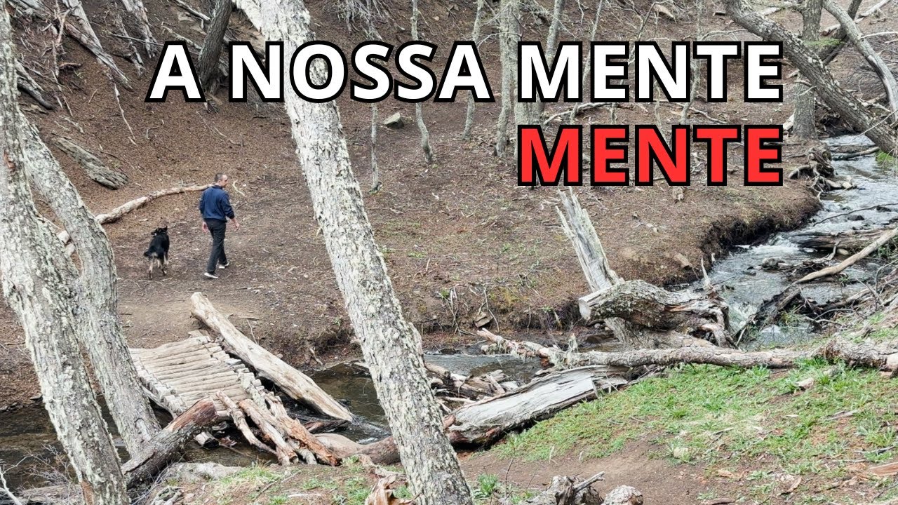 A Mente não é sua Amiga