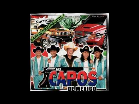 El Nido de narcos - Los Capos de Mexico