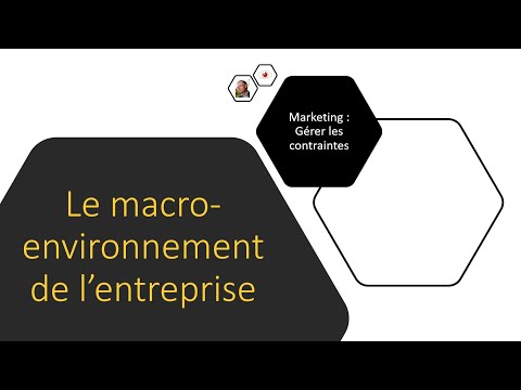 Marketing : Le macro-environnement de l'entreprise