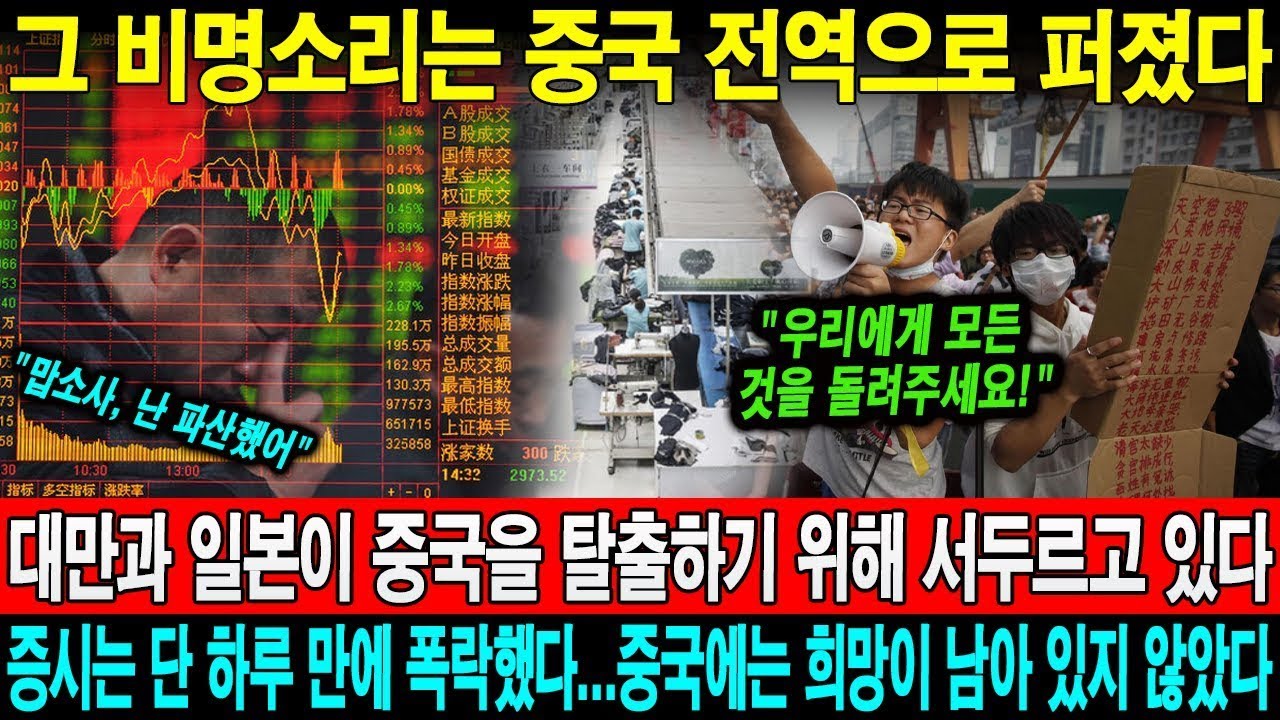 LIVE 국가 군사 비밀 LIVE 공개! 대한민국의 위대한 역사와 미래! 위대한 대한민국의 군사 소식과 친절한 한국인을 뉴스튜브에서 확인하세요!