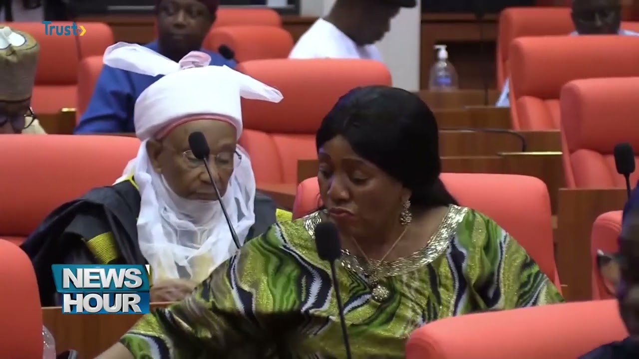 NEW APPOINTMENTS:  Senate Approves Tinubu's Request To Appoint 20 Special Advisers | TRUST TV