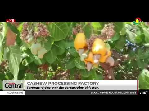 LIVE: Weekend Central || 2-08-2025