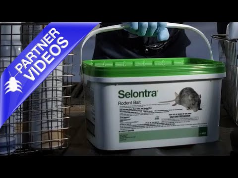  How to Outsmart Rodents with Selontra Video 