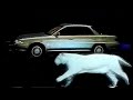 Gunna Burna Boy Wgft Slowed Reverb