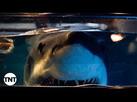 Preacher (LL Cool J) Defeats a Shark in His Kitchen [CLIP] | Deep Blue Sea | TNT