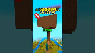 土が余っている方へ。これで経験値が無限にできます。【マイクラ】