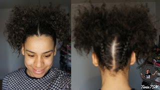 How To: UPSIDE DOWN BRAIDED SPACE BUNS on Curly Na