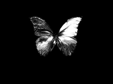 Blacklit Canopy - Don't Let The World Swallow You
