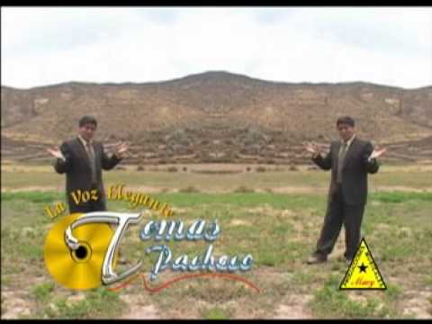 Tu amor comprare - Hermelinda - Matita de albaca - Tomás Pacheco Claros