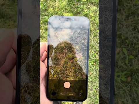 фото телефон iphone 12 pro дефект камеры 0