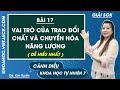 Khoa học tự nhiên 7 Cánh diều | Bài 17 Vai trò của trao đổi chất, chuyển hóa năng lượng Trang 87, 89
