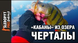 Рыбалка на озере черталы тюкалинского района