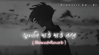 Download lagu Jolbi Dau Dau Kore – জ্বলবি দাউ দাউ করে | (Slowed Reverb) | Bengali Folk Lo - Fi Song mp3