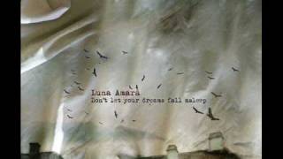 Luna amara - No return