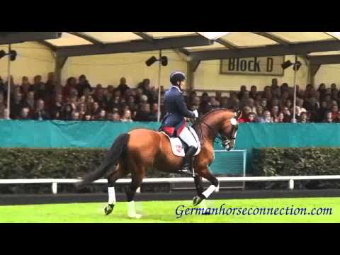 Vater zu Katnr. 35 Riemaars Luft und Liebe: Lissaro bei der Hengstparade 2013