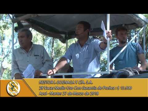 27-03-18 Venta de Vientres - Nestor I. Goenaga & Cia S.A. - Azul