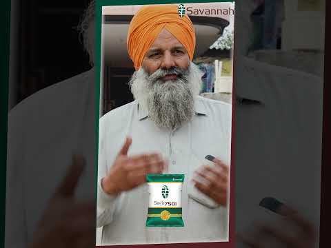 Ranjeet Singh
