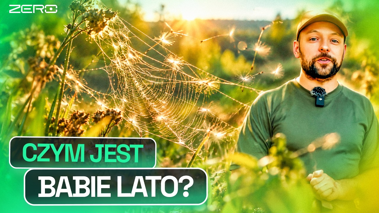 MILIONY PAJĄKÓW LATAJĄ NAD NASZYMI GŁOWAMI. PRAWDA O BABIM LECIE