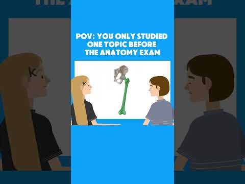 Anatomie & Behandlungswissen Videos – Interaktives Nachschlagewerk für Physio, Massage, Therapie 7 POV: You only studied one topic before the anatomy exam
